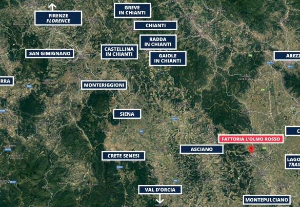 FATTORIA L'OLMO ROSSO 10 - Planimetria 1