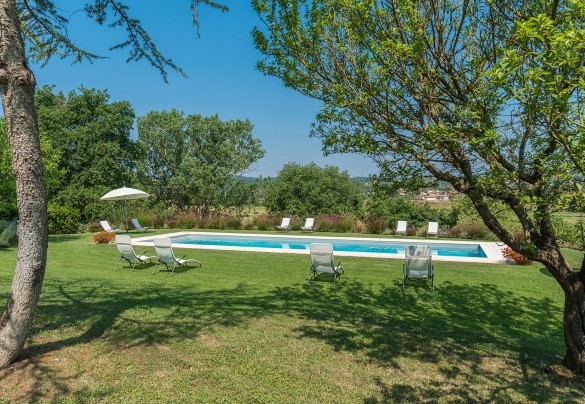 La zona solarium con diverse sdraio - Fattoria L'Olmo Rosso