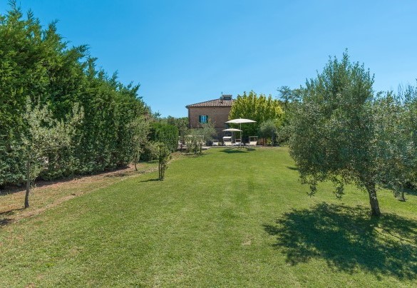 l parco recintato che contorna la villa è coltivato soprattutto a prato, bordato, lungo tutto il perimetro da uno schermo di siepi miste - Finestra su Siena