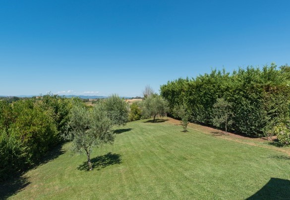 Nel  giardino si distribuiscono gelsi, ulivi, lecci, cespugli di ipericum, glicini e tante rose selvatiche e lillà - Finestra su Siena
