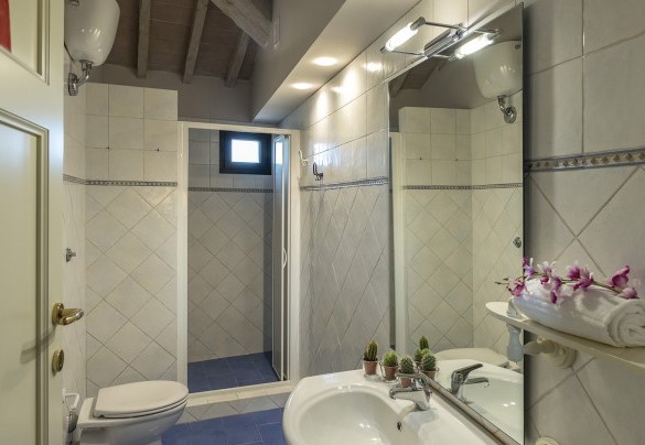 Bagno con doccia n.7 in mansarda - Finestra su Siena
