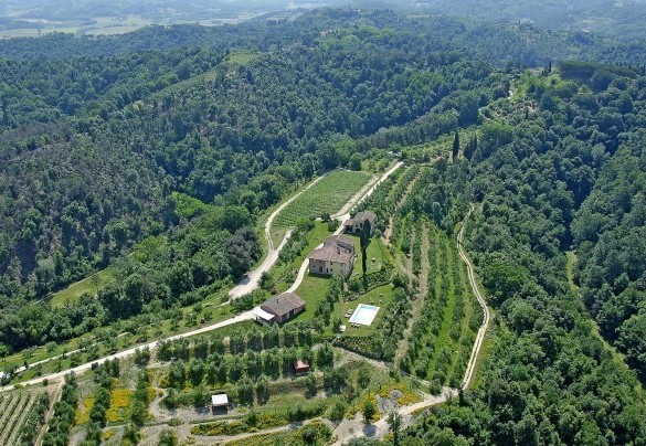 Il parco di oltre 40 ettari di spazi verdi destinati ad oliveto, varie coltivazioni e bosco – Germagnana 