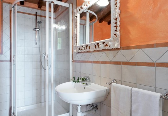 Bathroom with shower on the ground floor, Unit B "Il Fienile"  - Gli Spilocchi    
