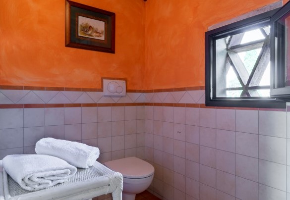 Bathroom with shower on the ground floor, Unit B "Il Fienile"  - Gli Spilocchi    