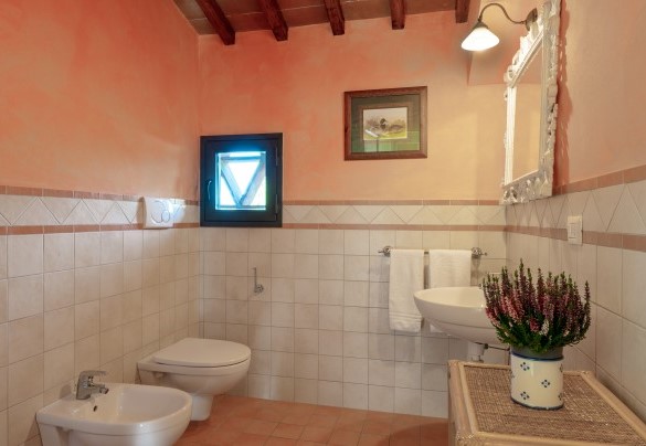 Bathroom with shower on the first floor, Unit B "Il Fienile" - Gli Spilocchi    
