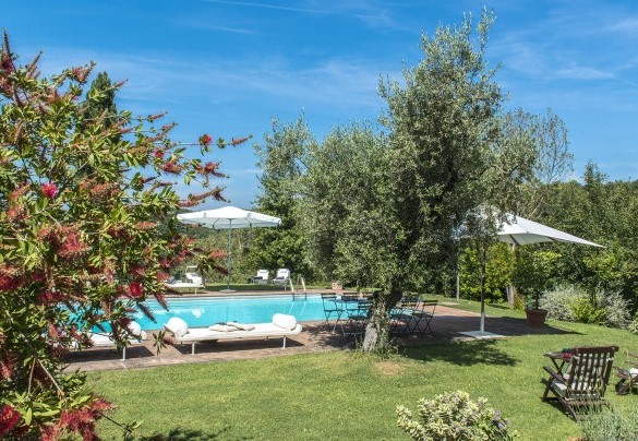 Una moltitudine di piante popolano il giardino - I Piantoni