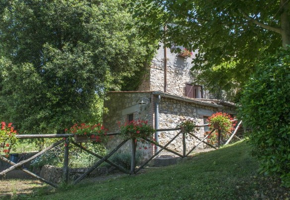 Una moltitudine di piante popolano il giardino - I Piantoni