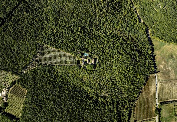 La tenuta in cui è inserito il borgo si estende per circa 40 ettari, tra boschi e ulivi - Il Castellare