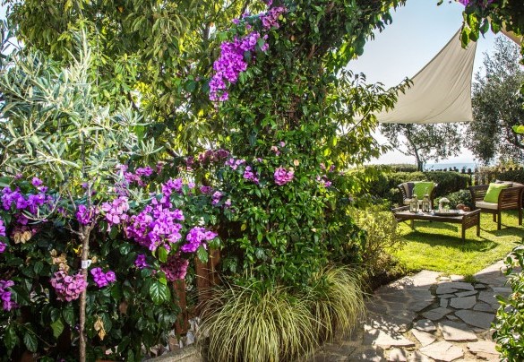 Il giardino con piante aromatiche intervallate da numerose essenze fiorite – Il Ciliegio Sul Lago 