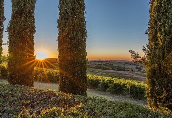 The property enjoys a secluded position, on a hill with splendid views over the rolling landscapes that dot the surroundings – Il Fitto