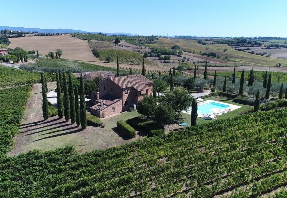 The estate, which extends for more than fifteen hectares cultivated with olives and vines, produces an exceptional extra virgin olive oil and prestigious wines – Il Fitto