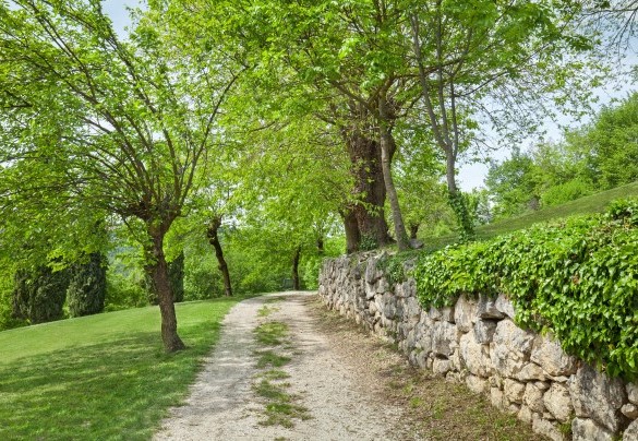 Access street to the house - Il Giardino di Sibilla