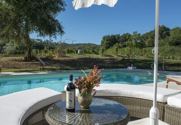 La zona relax attorno la piscina  - Il Molinaccio
