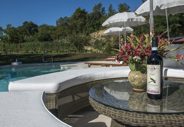 La zona relax attorno la piscina  - Il Molinaccio