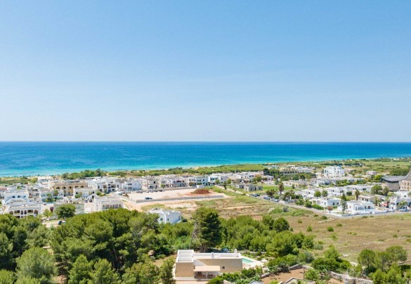 Panoramic view of the property - Il Nachiro