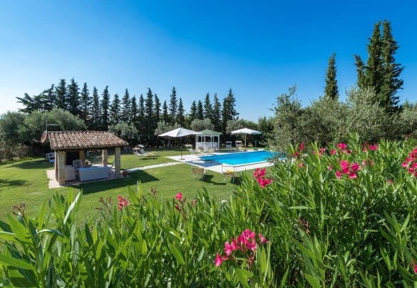 Vista panoramica della piscina immersa nel parco, ricco di essenze e lberi secolari - Il Podere di Fi 8