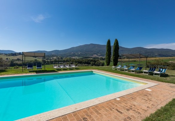 Il bordo piscina con lettini  - Il Poderuccio