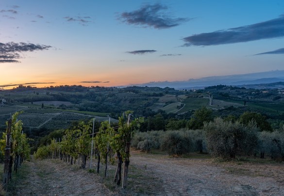 Vista panoramica al tramonto - L'Oliveta
