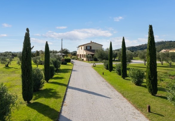 The gravel driveway bordered by cypresses - La Buganvilla
