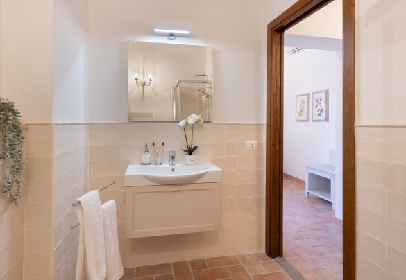 Bathroom with shower n.6 en-suite to bedroom n.6 - La Buganvilla
