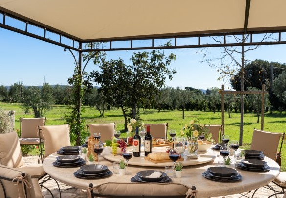 The large gazebo with dining table, barbecue and lounge - La Buganvilla