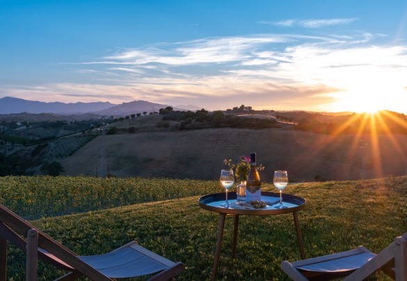 The sunset panorama of sunflowers - La Buona Maniera