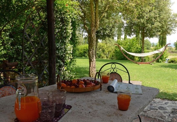 Pergola equipped with table and hammock furnish the lawn solarium area around the pool - La Capanna di Franca 6+2