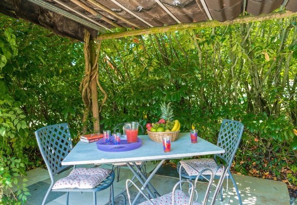 Next to the pool is a pergola covered with wisteria, providing a shady and relaxing area with table and chairs – La Casa dell’Artista 6