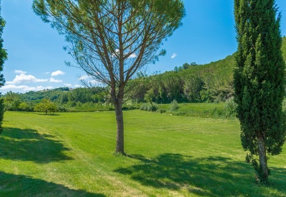 The garden at the back of the house – La Casa dell’Artista 6