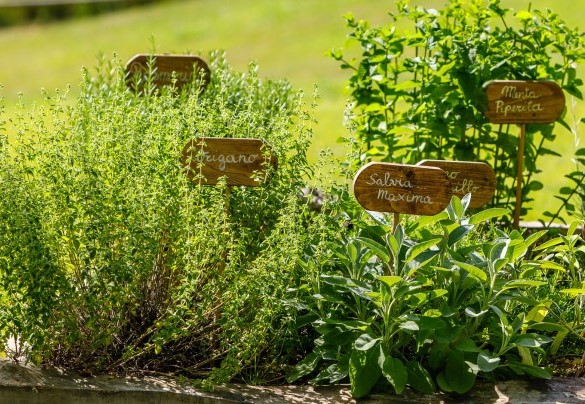 Nel parco è possibile apprezzare una vasta biodiversità - La casa di Nanì