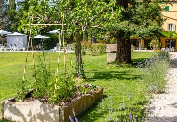 Nel parco è possibile apprezzare una vasta biodiversità - La casa di Nanì