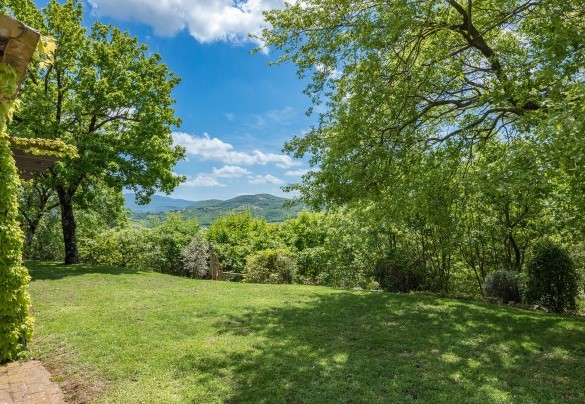 The estate in which the farmhouse is located extends for1 hectare - La Cerqua  