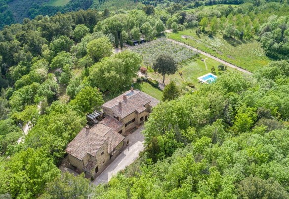 The farmhouse and the swimming pool embraced by the green hills - La Cerqua  