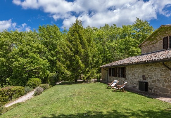 The well kept garden with blooms, olive grove and tall trees that alternate in the orderly lawn areas around the house - La Cerqua 