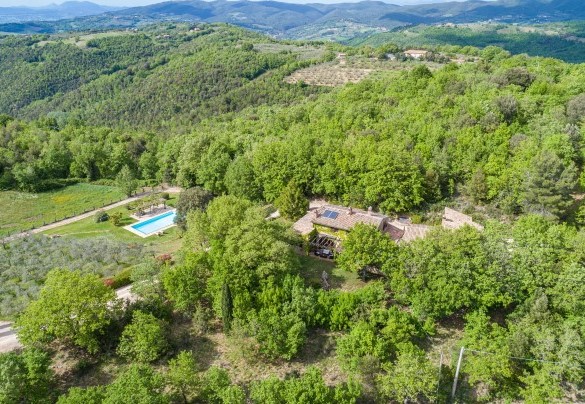 Here, absolute protagonist is the natural scenery that surrounds the property - La Cerqua