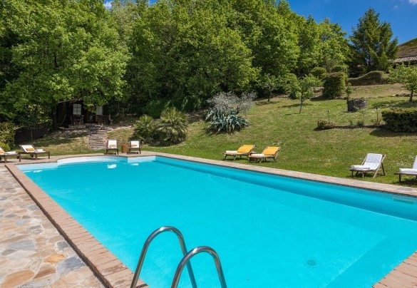 The swimming pool and in the background the farmhouse - La Cerqua 