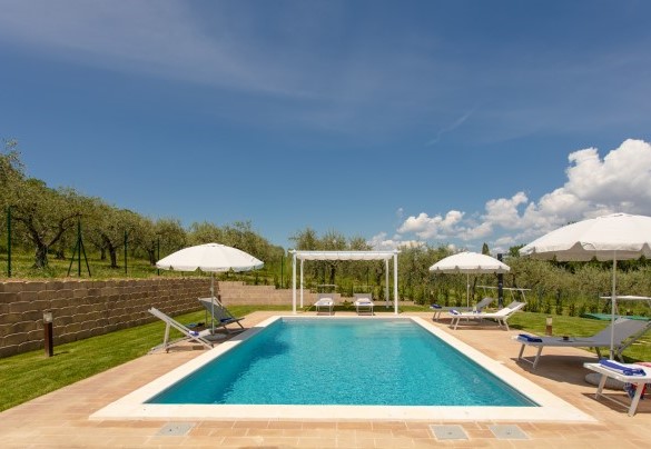 La piscina circondata da uliveti - La Collina degli Ulivi