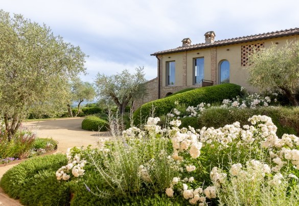 Larghe superficie di prato curato con giovani piante di ulivi e cipressi e tanti cespugli di lavanda, rosmarino, mirto e salvia che decorano l’ingresso – La Fonte di Santa Regina