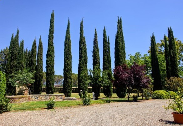 The entrance square bordered by cypresses – La Magia 8+2
