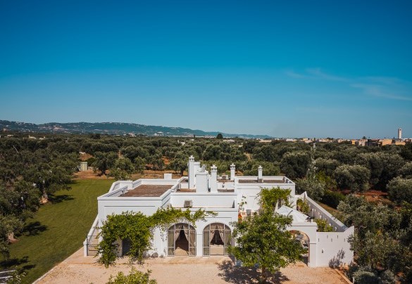 In the heart of the Ancient Olive Trees Plain - La Torre di Monsignore