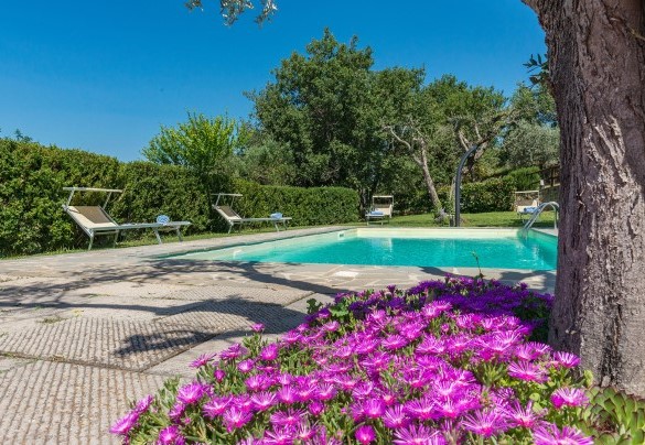 La piscina è collocata all'interno del parco della proprietà - La Torretta  