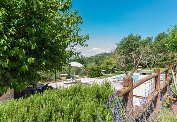 Su di un terrazzamento delimitato da un muro in pietra si inserisce la piscina - La Torretta  