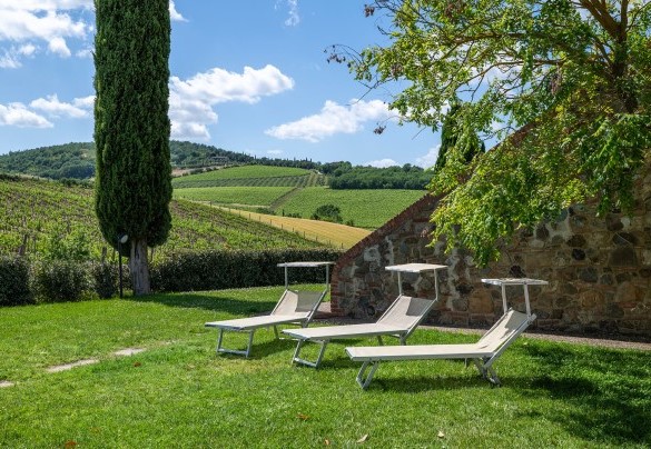 Vigneti pregiati circondano la proprietà - Le Colombelline