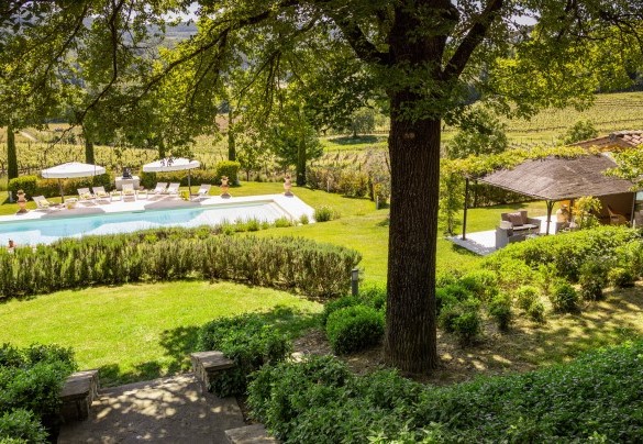 La piscina è costeggiata da ampi vigneti - Le Querce dei Medici  