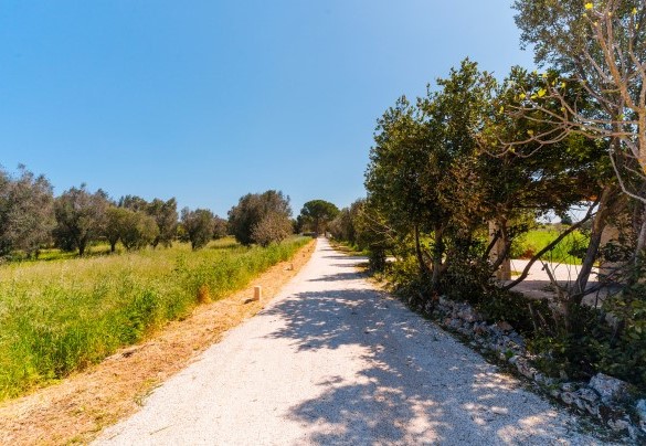 Characteristic driveway leading to the property - Masseria Grotta Antica