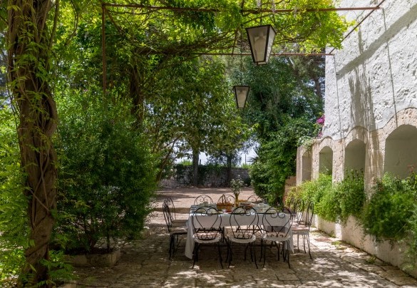 Splendid vine-covered canopy under which a rustic outdoor dining area has been set up - Masseria Tarsia Incuria