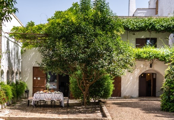 The entrance is framed by a splendid vine-covered canopy – Masseria Tarsia Incuria