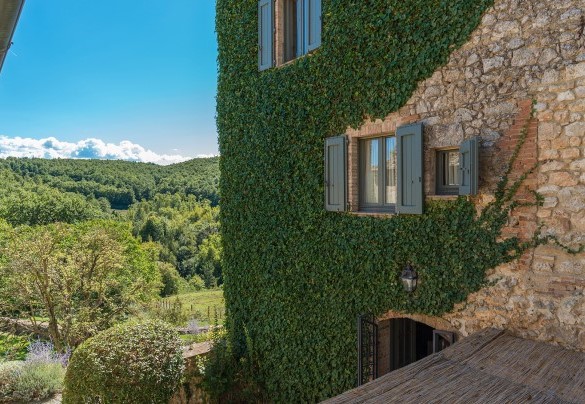 The ivy covering the stone - Monticchia