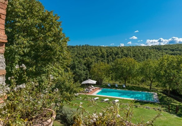 The well-maintained and verdant garden of the property - Monticchia