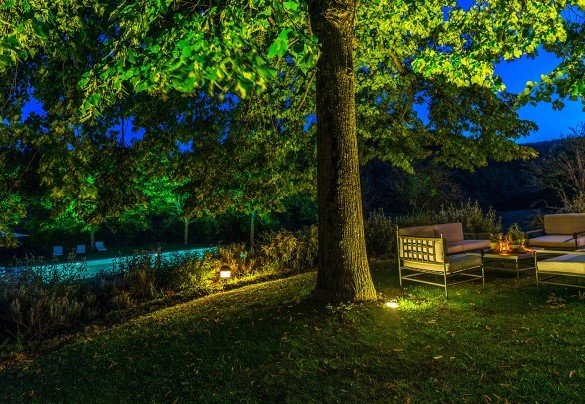 The large oak tree not far from the farmhouse - Monticchia